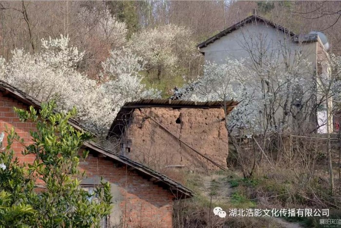 1581160859102635.jpg PicsArt_02-08-07.18.47.jpg